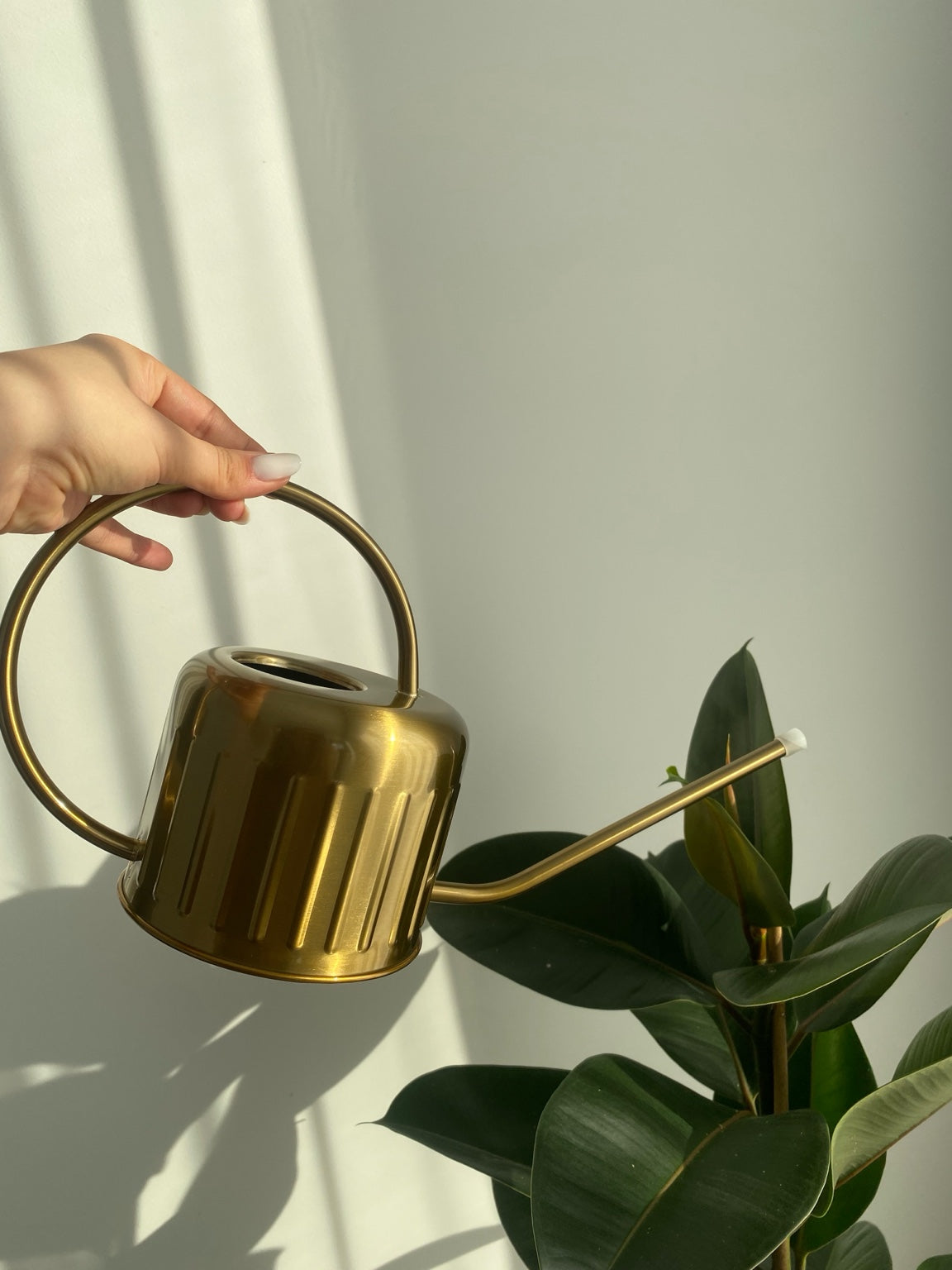 AUKSINIS LAISTYTUVAS