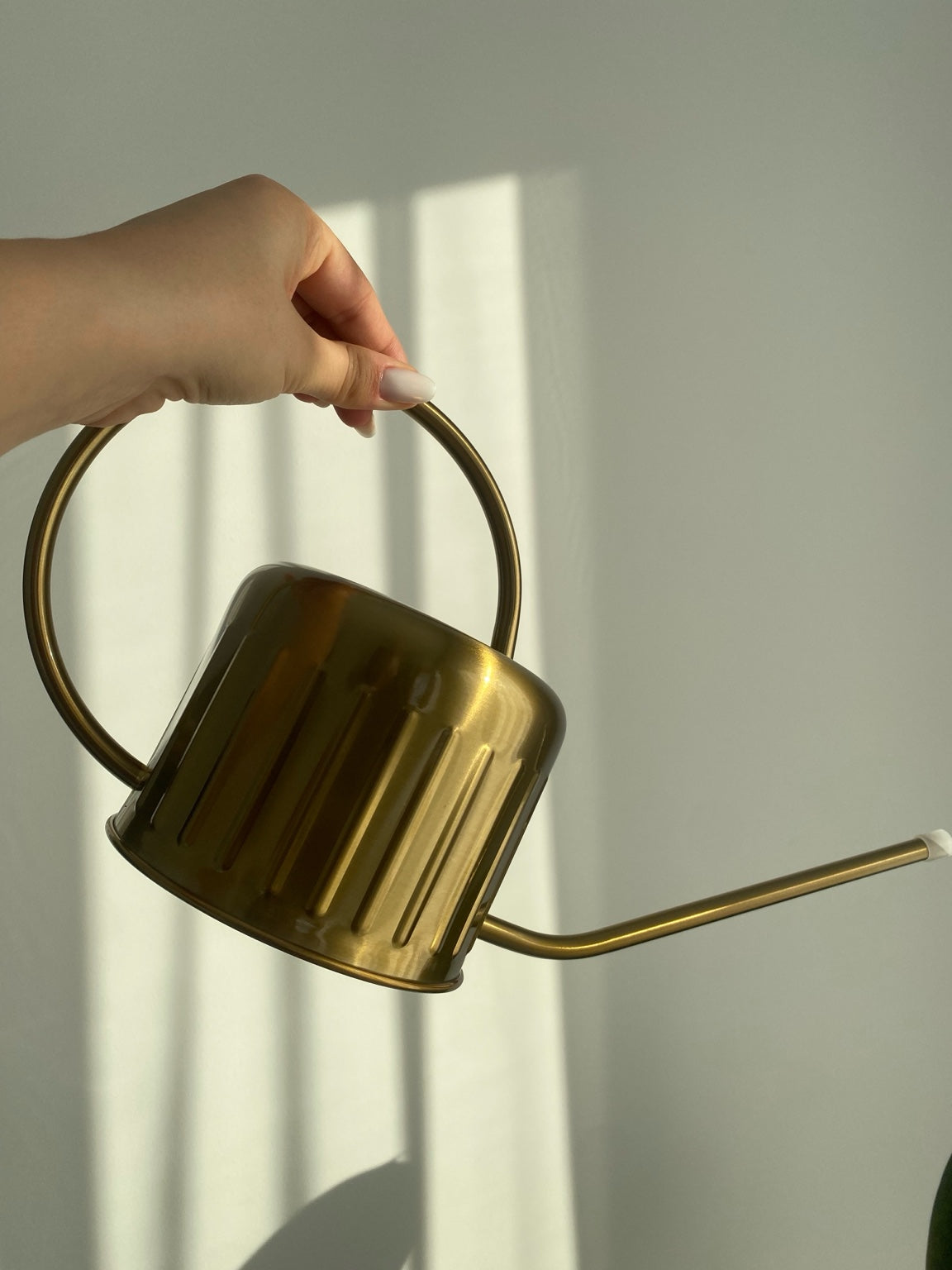 AUKSINIS LAISTYTUVAS