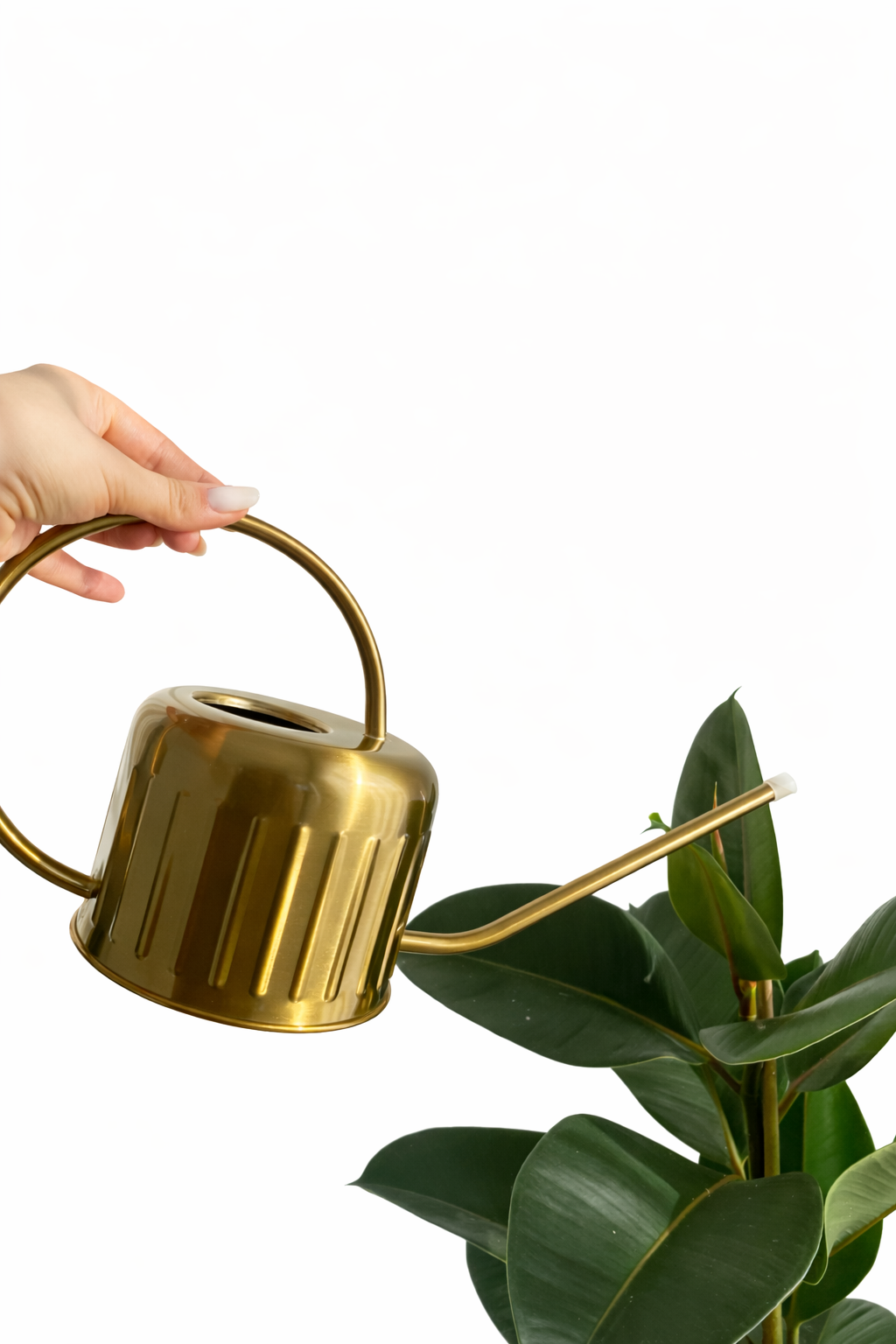 AUKSINIS LAISTYTUVAS